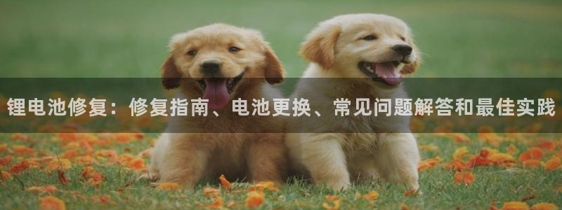 尊龙凯时白家乐Abb下载