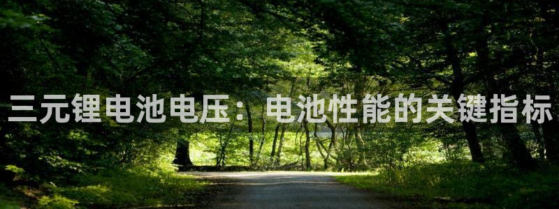 尊龙人生就是博电脑版
