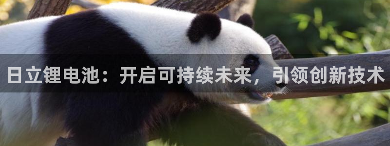 尊龙凯时网站网址