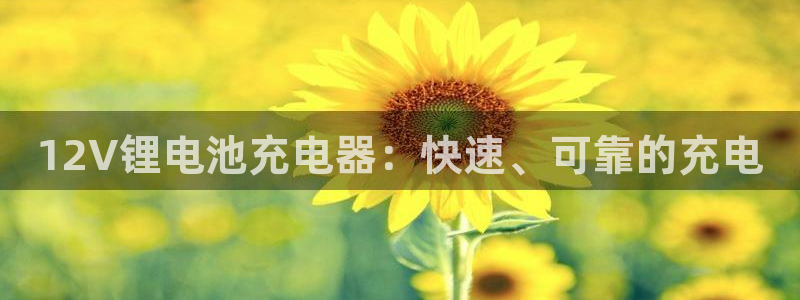Z6尊龙官网入口