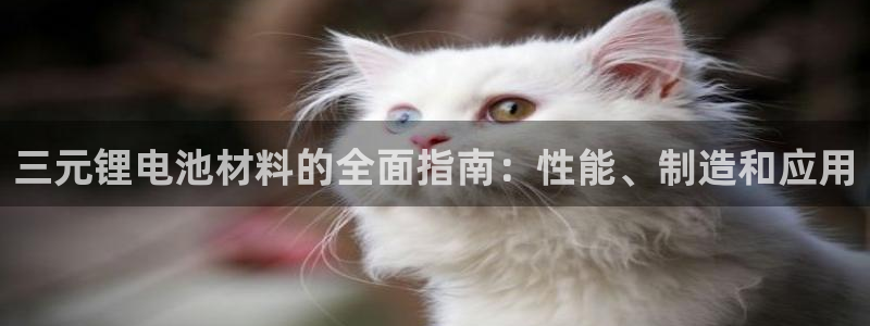 怎样能成为尊龙凯时平台的会员