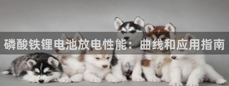 尊龙凯时几百万怎么下款
