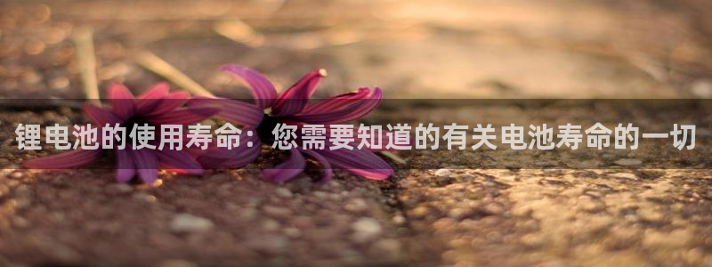 有人在凯时赢过钱吗