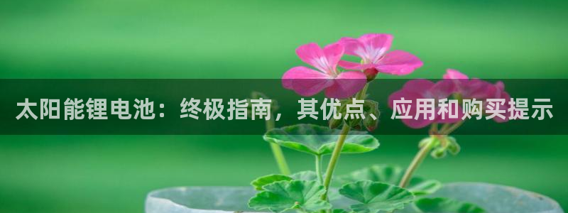 尊龙AG旗舰店
