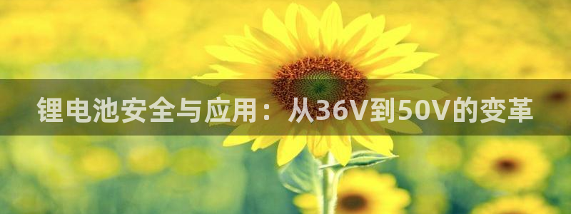 尊龙凯时登陆入口