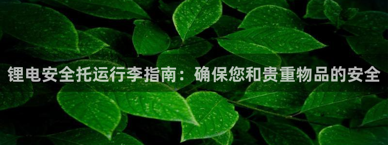 尊龙凯时下载官方正版