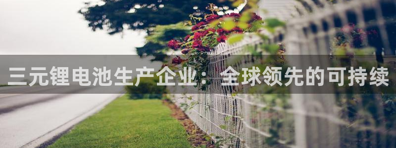 尊龙体育电竞官网
