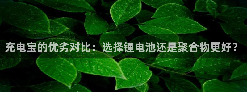 凯时ag旗舰厅登录
