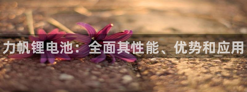 尊龙人生就是-首页(中国)有限公司
