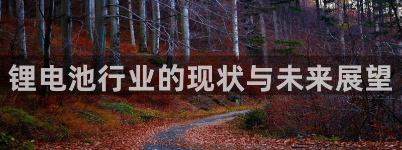 尊龙官网入口