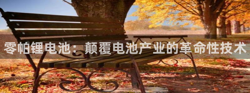 尊龙t300和t400哪个好：零帕锂电池：颠覆电池产业的革命性技术