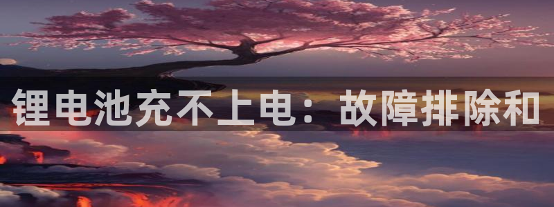 z6尊龙z6：锂电池充不上电：故障排除和