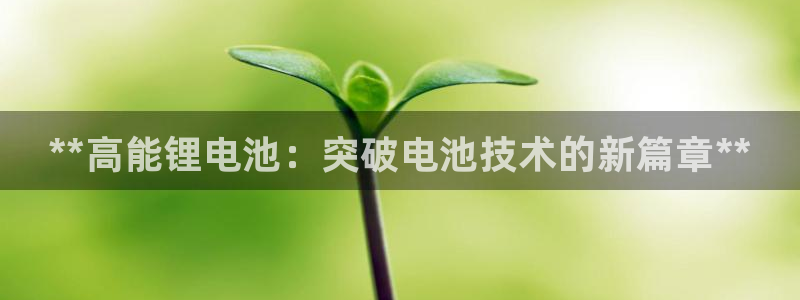 ag旗舰平台尊龙代言：**高能锂电池：突破电池技术的新篇章**
