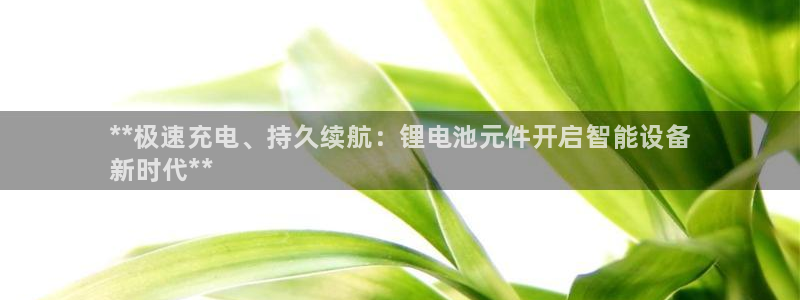 尊龙app官网登录：**极速充电、持久续航：锂电池元件开启智能设备
新时代**