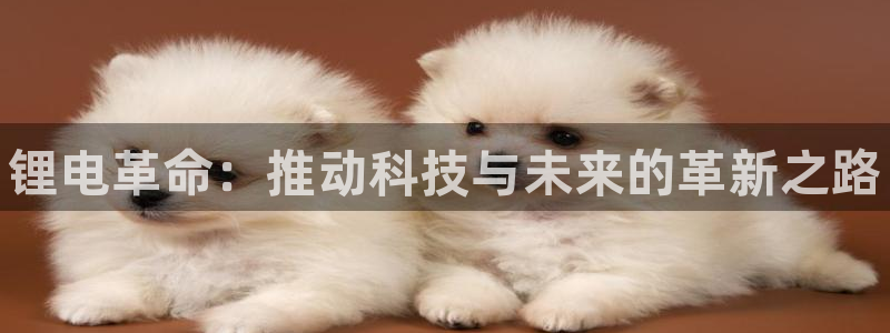 尊龙z6.con