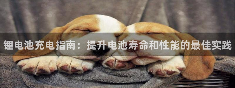 尊龙用现金娱乐一下下载旧：锂电池充电指南：提升电池寿命和性能的最佳实践