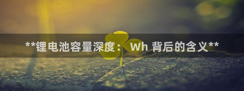 尊龙凯时人生就是搏技术实力：**锂电池容