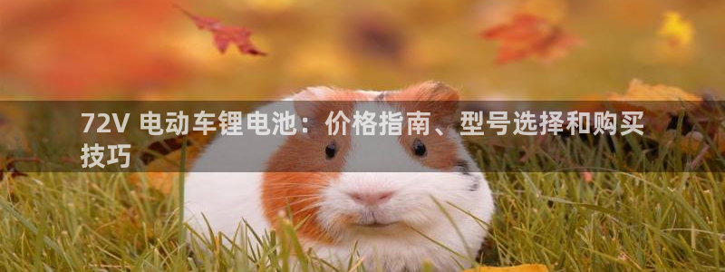 尊龙人生就是博管网：72V 电动车锂电池：价格指南、型号选择和购买
技巧