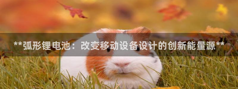 凯时k66娱乐登录：**弧形锂电池：改变移动设备设计的创新能量源**