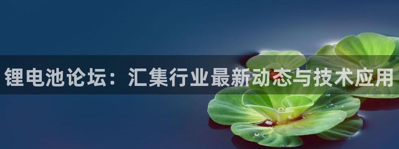 尊龙凯时官网登录入口