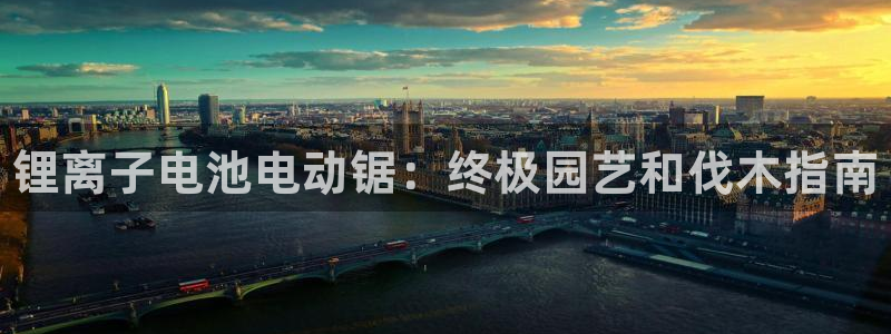 尊龙ag旗舰厅官网登录：锂离子电池电动锯：终极园艺和伐木指南