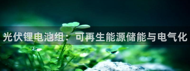 尊龙t400和尊龙t300区别：光伏锂电池组：可再生能源储能与电气化