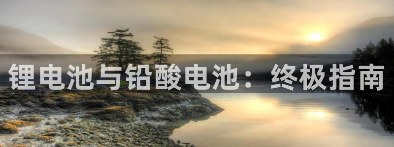 尊龙游戏官网游戏特色：锂电池与铅酸电池：终极指南