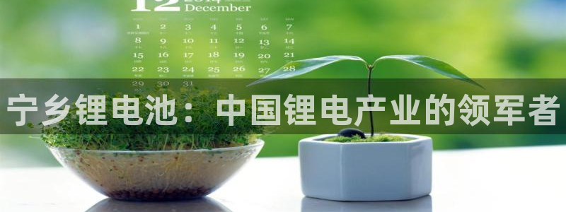 尊龙集团有限公司地址：宁乡锂电池：中国锂