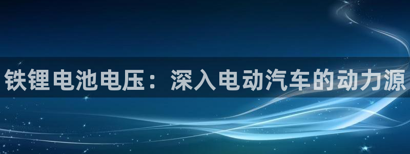 ZL尊龙凯时集团：铁锂电池电压：深入电动
