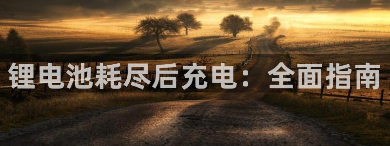 尊龙人生就是博下载：锂电池耗尽后充电：全