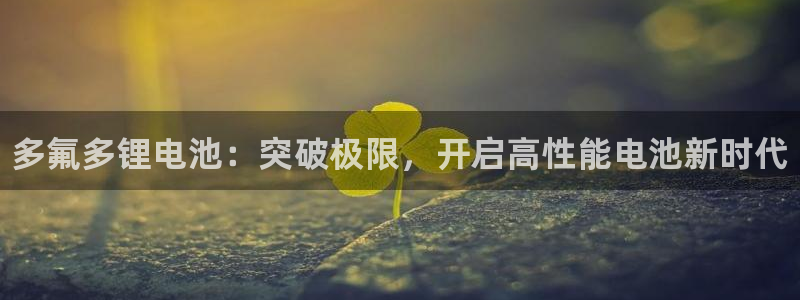 尊龙凯时网站怎么样：多氟多锂电池：突破极