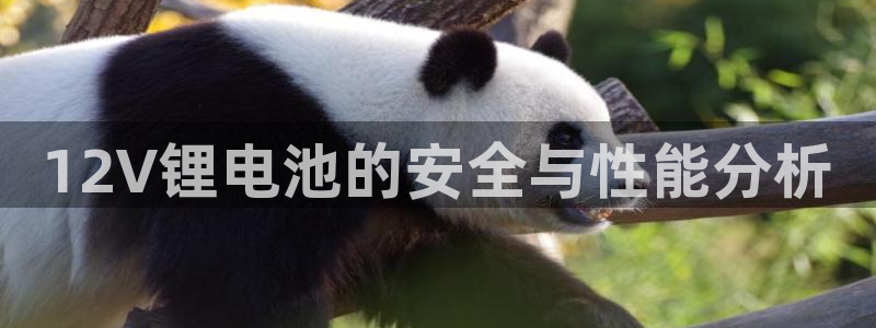 尊龙怎么没消息了